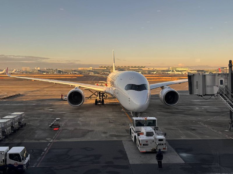 属于到JAL大本营了太牛了 旁边的乘客做飞机不忘刷建筑的题😳
