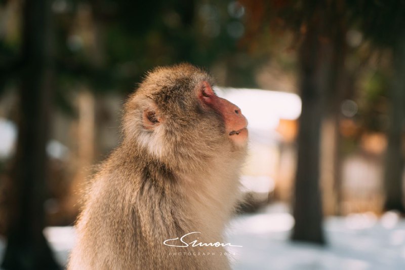 #写真老外能不能别半夜投广子了啊老深更半夜投过来严重影响本人睡眠😁