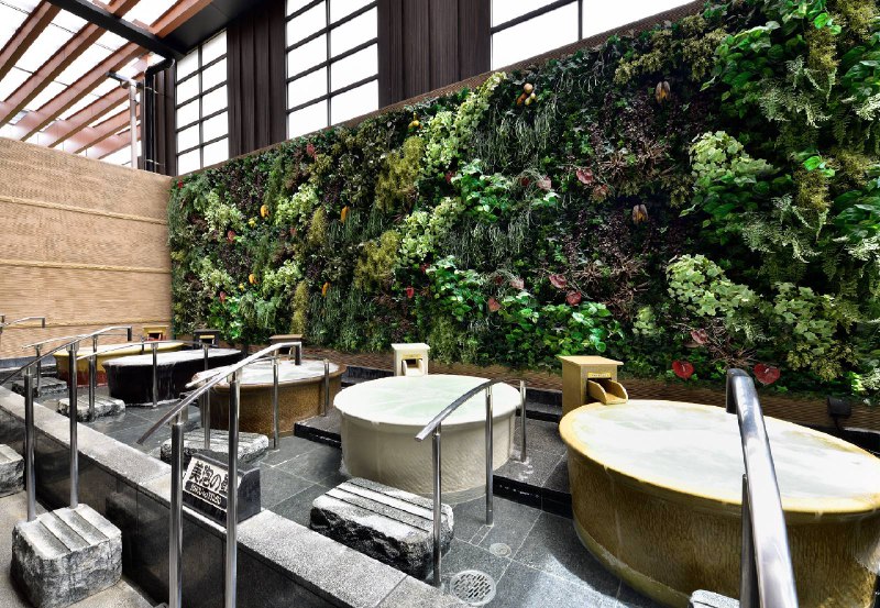 今天打卡草加的温泉“竜泉寺の湯”像下饺子😂桑拿都要排队，都排到桑拿房外面了今天打卡草加的温泉“竜泉寺の湯”像下饺子😂桑拿都要排队，都排到桑拿房外面了