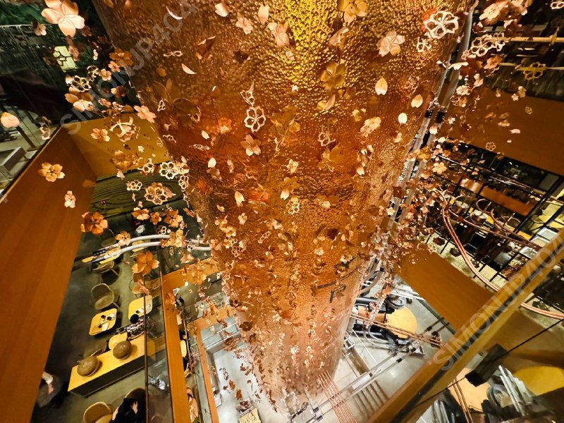 #美食 今日份的星巴克臻選®東京烘焙工坊由星巴克首席设计师Liz Miller和隈研吾打造店里的菜单区别于普通店 能点到各种限定饮品还可以现场看咖啡豆烘培话说晚上的中目黑也太好逛了种草了这个星巴克大师店限定的咖啡杯☕️#美食 今日份的星巴克臻選®東京烘焙工坊由星巴克首席设计师Liz Miller和隈研吾打造店里的菜单区别于普通店 能点到各种限定饮品还可以现场看咖啡豆烘培话说晚上的中目黑也太好逛了种草了这个星巴克大师店限定的咖啡杯☕️