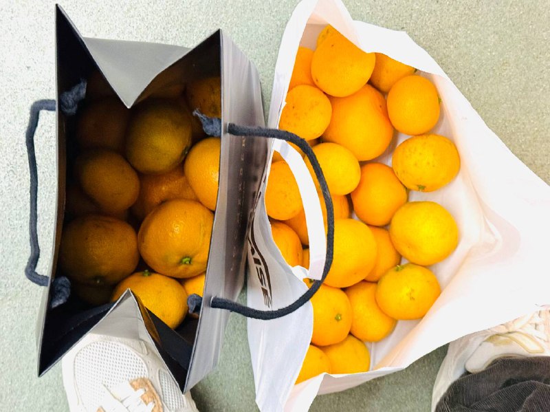 从公司偷点橘子吃🍊