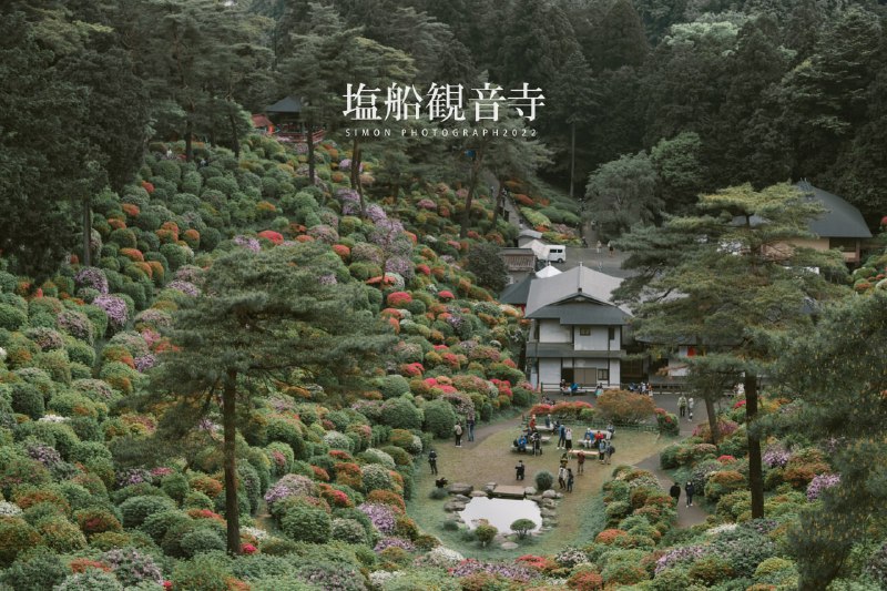 塩船観音寺・つつじ祭り塩船観音寺・つつじ祭り