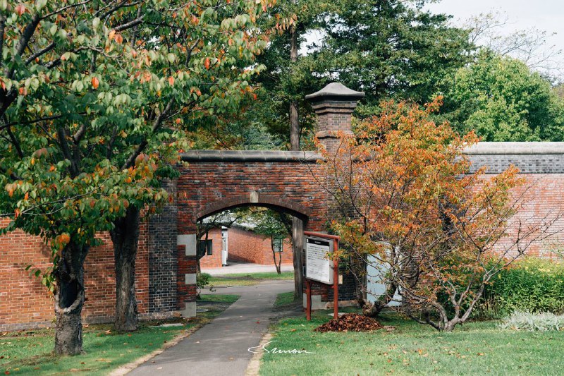 #写真浮生东京之我的北海道休闲养老生活🫡大家共勉之#写真浮生东京之我的北海道休闲养老生活🫡大家共勉之