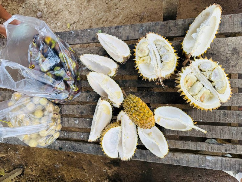 4斤山竹+4斤不知道啥水果+三个榴莲=15块钱人民币热带雨林酒店+早餐+晚上带你找萤火虫+我房门口就是小溪流=500人民币这价格去什么泰国？印尼人均会英语，服务还都热情，还特爱跟你拍照合影😆街道也很干净，高速道路建设绝对一流，和日本比服务也不差，顶多厕所脏了点4斤山竹+4斤不知道啥水果+三个榴莲=15块钱人民币热带雨林酒店+早餐+晚上带你找萤火虫+我房门口就是小溪流=500人民币这价格去什么泰国？印尼人均会英语，服务还都热情，还特爱跟你拍照合影😆街道也很干净，高速道路建设绝对一流，和日本比服务也不差，顶多厕所脏了点