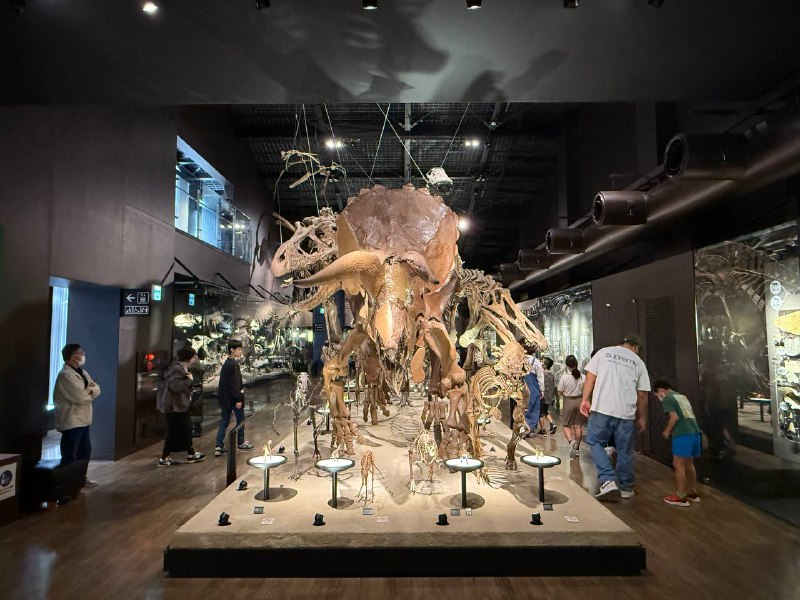 这博物馆太帅了