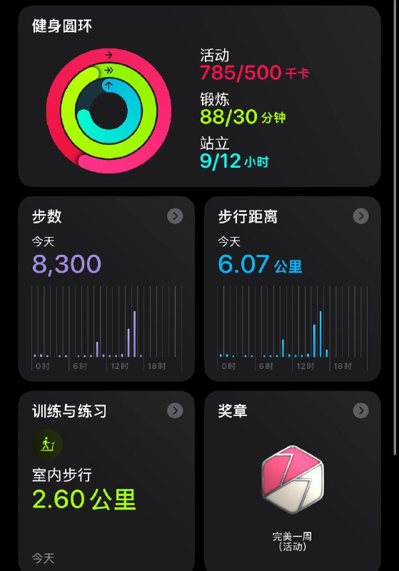 今日份糊弄式健身完成接下来开始主要任务