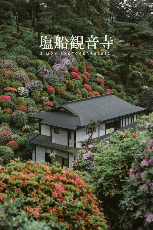塩船観音寺・つつじ祭り塩船観音寺・つつじ祭り