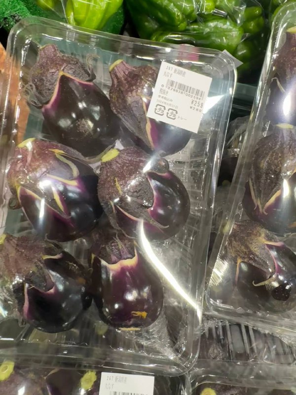 这是什么品种的🍆