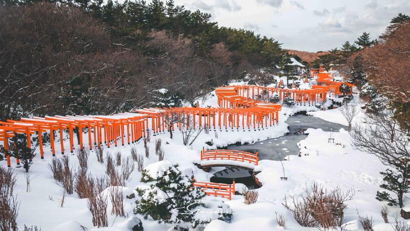 #写真从弘前出发，车子不知道打滑了多少次🤣终于抵达雪国的千本鸟居