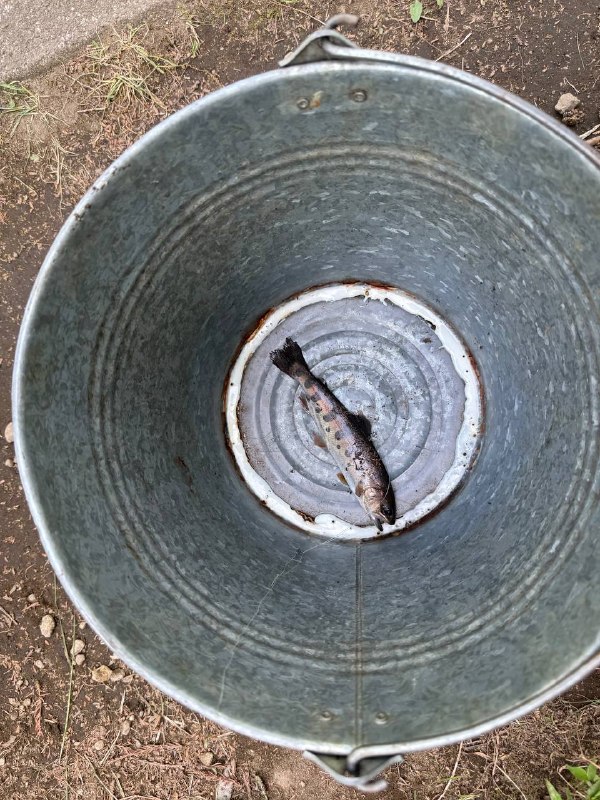 直接上钩