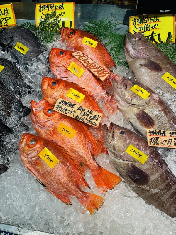 #Food #Life ⭐️西日本最大级市场 とれとれ市場📍〒649-2201 和歌山県西牟婁郡白浜町堅田2521 とれとれ市场位于日本和歌山县的白滨市，不仅是西日本最大量级的海鲜市场，同时还因柯南动画里出现而闻名