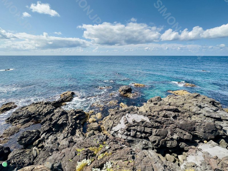 这海真蓝啊海胆真好吃🤣