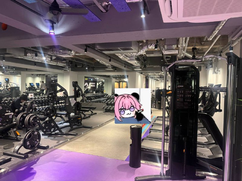 开练开练