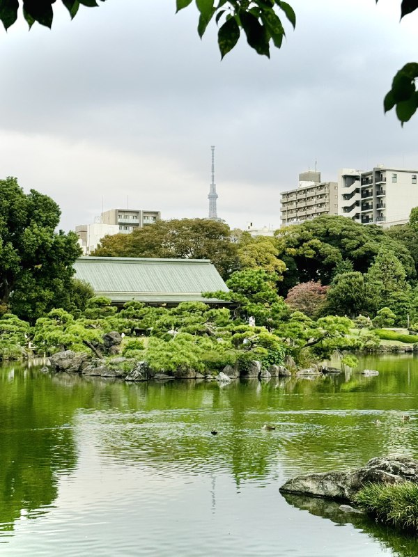 #摄影推荐大家都来清澄白河散步！比起三连休到处都是拥挤的人群来说，还是来清澄白河相对小众一点的地方比较清闲！有日式庭院，也有各种咖啡喝~天气好的情况下，iPhone也能拍出不错的效果😆#摄影推荐大家都来清澄白河散步！比起三连休到处都是拥挤的人群来说，还是来清澄白河相对小众一点的地方比较清闲！有日式庭院，也有各种咖啡喝~天气好的情况下，iPhone也能拍出不错的效果😆