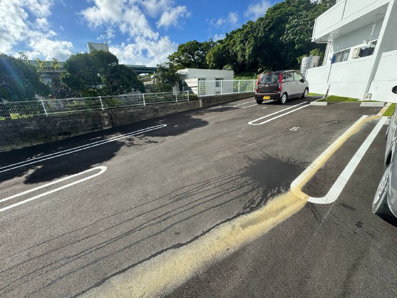 我们隔壁住的是冲绳Y牌的美国哥每天他的停车位不是吐了就是拉了如图所示这是今天他停车位的案发现场🤣