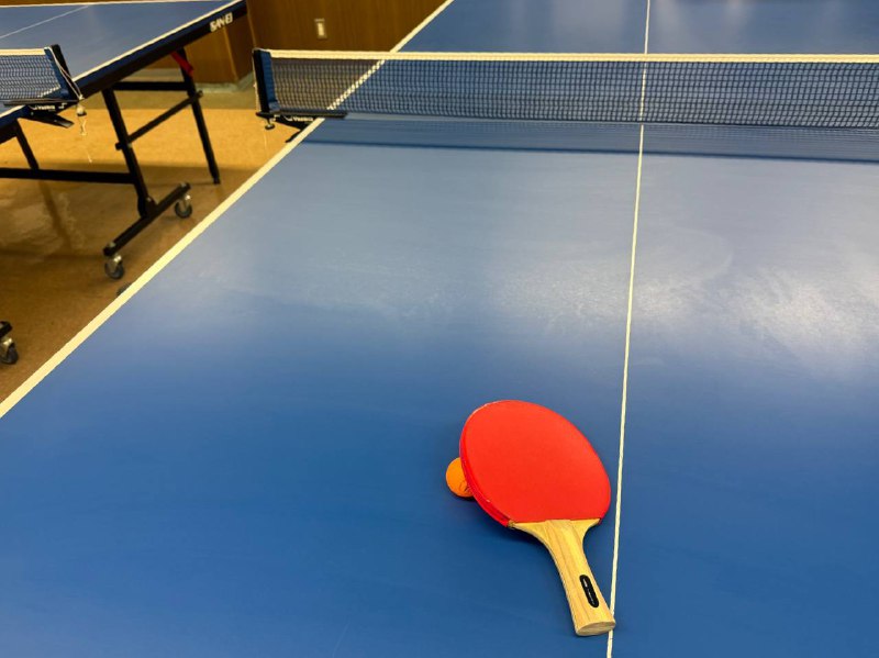 跟中介大战300回合