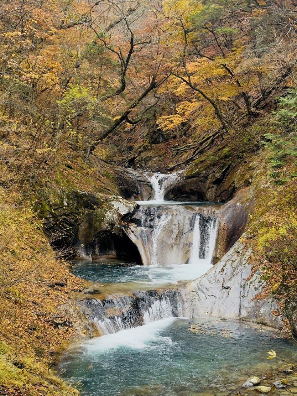 周末大家有空的话可以去西沢溪谷徒步了，距离东京开车 1 个多小时，适合日归目前的秋景非常美丽，而且路线超级简单、老少皆宜发一点上周日的徒步的iPhone直出图片给大家参考周末大家有空的话可以去西沢溪谷徒步了，距离东京开车 1 个多小时，适合日归目前的秋景非常美丽，而且路线超级简单、老少皆宜发一点上周日的徒步的iPhone直出图片给大家参考