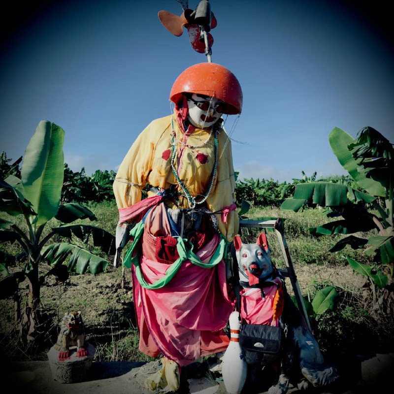 大家好，这是路过拍到的一位朋友，名字叫卡卡西🥹