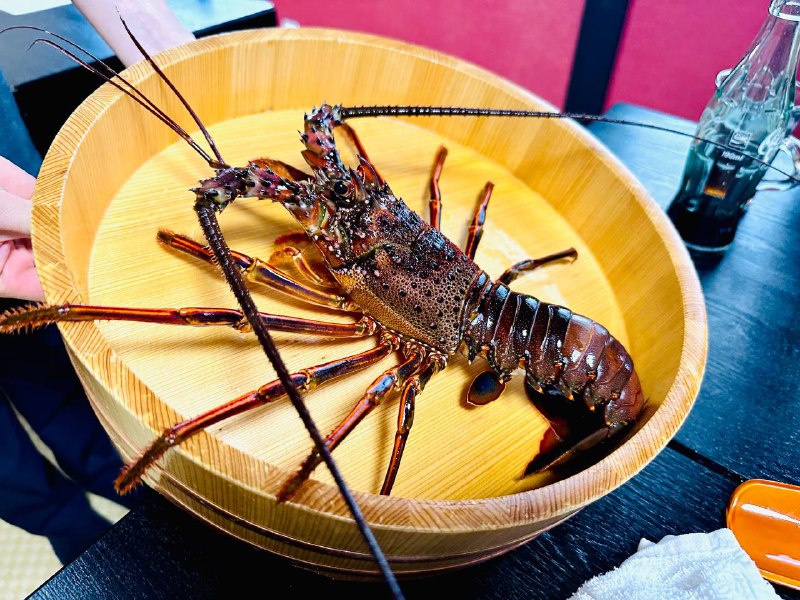 今天来伊勢吃伊勢エビ🦞今天来伊勢吃伊勢エビ🦞