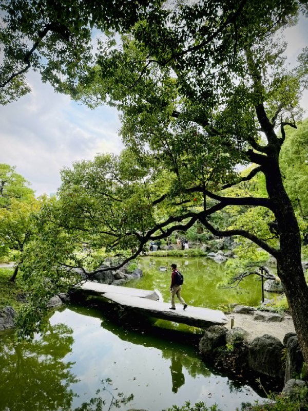 #摄影推荐大家都来清澄白河散步！比起三连休到处都是拥挤的人群来说，还是来清澄白河相对小众一点的地方比较清闲！有日式庭院，也有各种咖啡喝~天气好的情况下，iPhone也能拍出不错的效果😆#摄影推荐大家都来清澄白河散步！比起三连休到处都是拥挤的人群来说，还是来清澄白河相对小众一点的地方比较清闲！有日式庭院，也有各种咖啡喝~天气好的情况下，iPhone也能拍出不错的效果😆