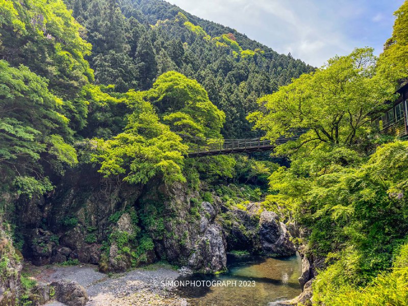 徒步结束，差点累死了（野猪和蛇跑的都比我快，熊倒是没看见幸亏没带相机，整点手机摄影得了全程5公里，奥多摩駅 ～鳩ノ巣徒步结束，差点累死了（野猪和蛇跑的都比我快，熊倒是没看见幸亏没带相机，整点手机摄影得了全程5公里，奥多摩駅 ～鳩ノ巣