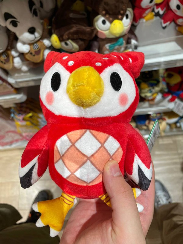 今天有流星雨吗？