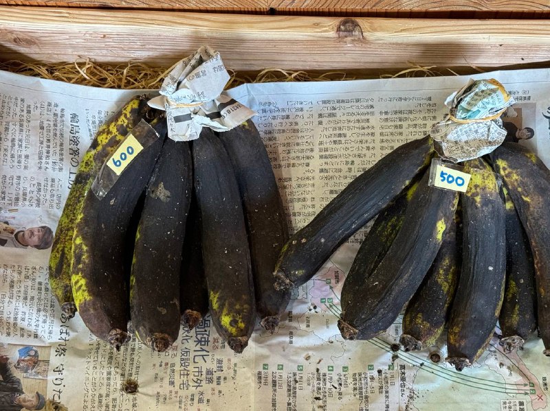 这香蕉能吃吗🤣