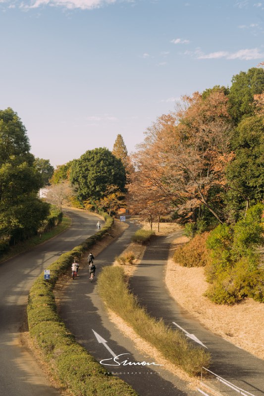 #摄影今日份的国営昭和記念公園