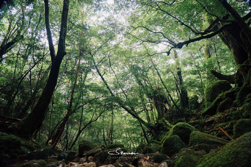 我现在出门都不看小红书了，因为全是网红景点，游客扎堆最好的办法是在谷歌上搜