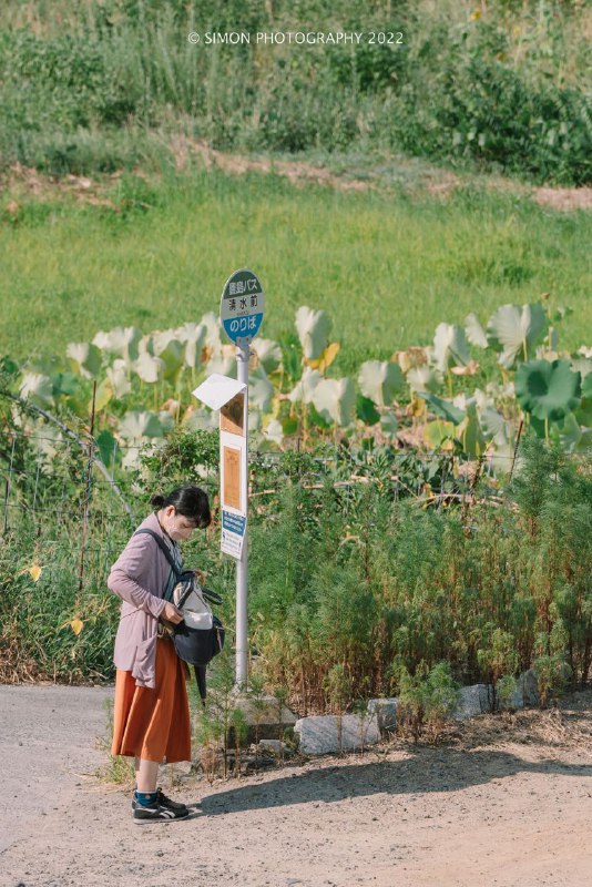 步入日剧里的世界