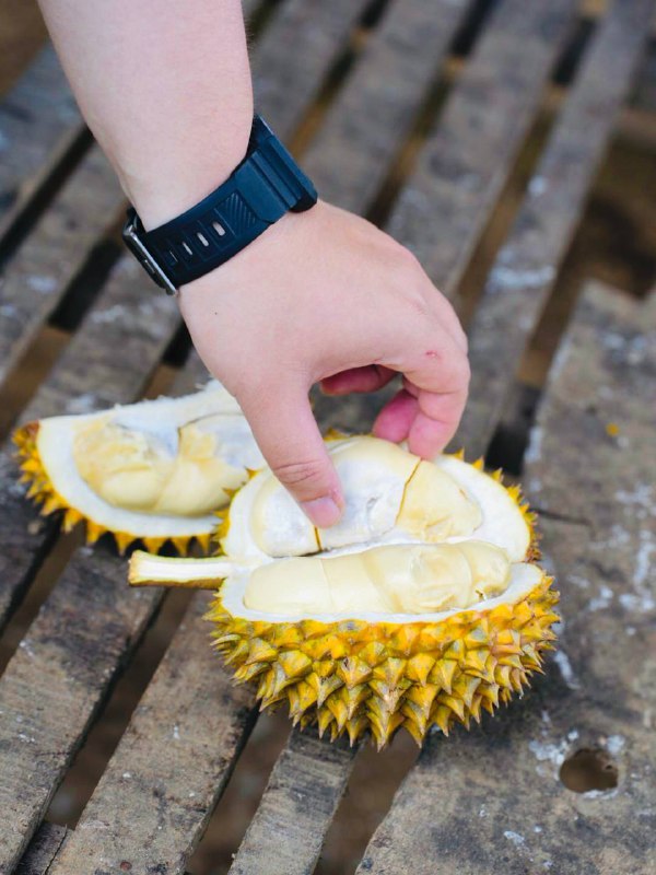 4斤山竹+4斤不知道啥水果+三个榴莲=15块钱人民币热带雨林酒店+早餐+晚上带你找萤火虫+我房门口就是小溪流=500人民币这价格去什么泰国？印尼人均会英语，服务还都热情，还特爱跟你拍照合影😆街道也很干净，高速道路建设绝对一流，和日本比服务也不差，顶多厕所脏了点4斤山竹+4斤不知道啥水果+三个榴莲=15块钱人民币热带雨林酒店+早餐+晚上带你找萤火虫+我房门口就是小溪流=500人民币这价格去什么泰国？印尼人均会英语，服务还都热情，还特爱跟你拍照合影😆街道也很干净，高速道路建设绝对一流，和日本比服务也不差，顶多厕所脏了点