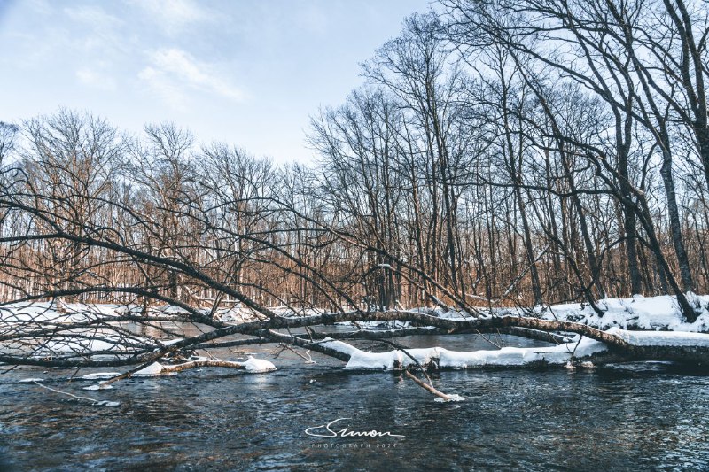 #写真 #北海道六回目强烈推荐大家来北海道的时候体验下冬季的独木舟项目