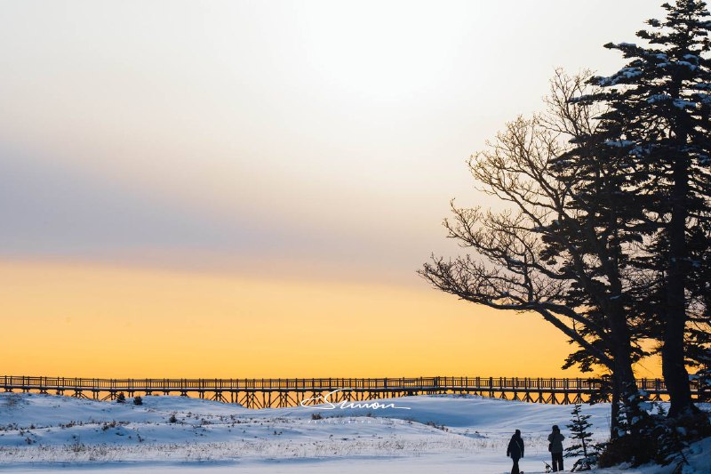 生日当天在知床五湖雪地徒步即使这是北海道六回目 我也依旧被大自然所赋予的景色所震撼我们向导外表像个ヤクザ 但是聊起知床和他热爱的职业 就总有说不完的话知床半岛  希望夏天再见🥳生日当天在知床五湖雪地徒步即使这是北海道六回目 我也依旧被大自然所赋予的景色所震撼我们向导外表像个ヤクザ 但是聊起知床和他热爱的职业 就总有说不完的话知床半岛  希望夏天再见🥳
