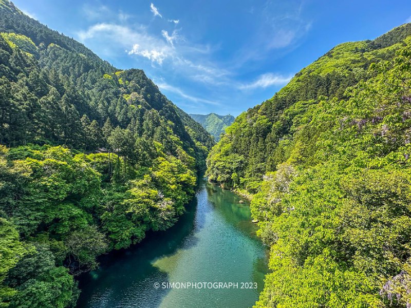 徒步结束，差点累死了（野猪和蛇跑的都比我快，熊倒是没看见幸亏没带相机，整点手机摄影得了全程5公里，奥多摩駅 ～鳩ノ巣徒步结束，差点累死了（野猪和蛇跑的都比我快，熊倒是没看见幸亏没带相机，整点手机摄影得了全程5公里，奥多摩駅 ～鳩ノ巣