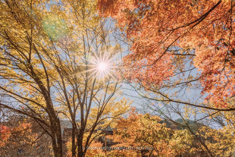 #Life日本浮生录