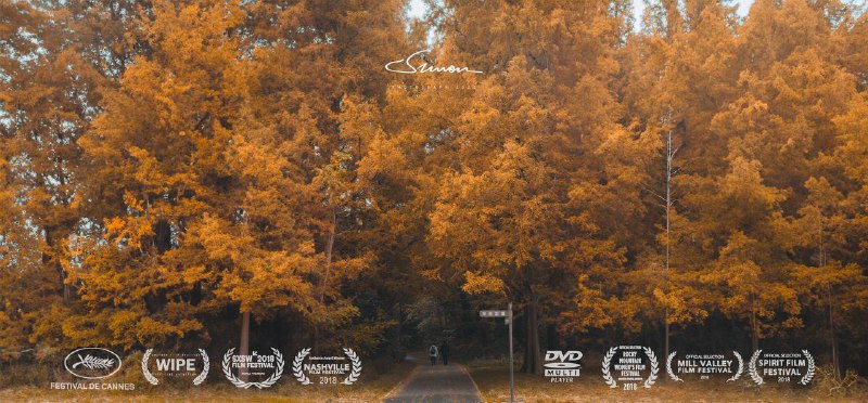 #摄影主体实景拍摄+AI混合填充2023.11.26  水元公园