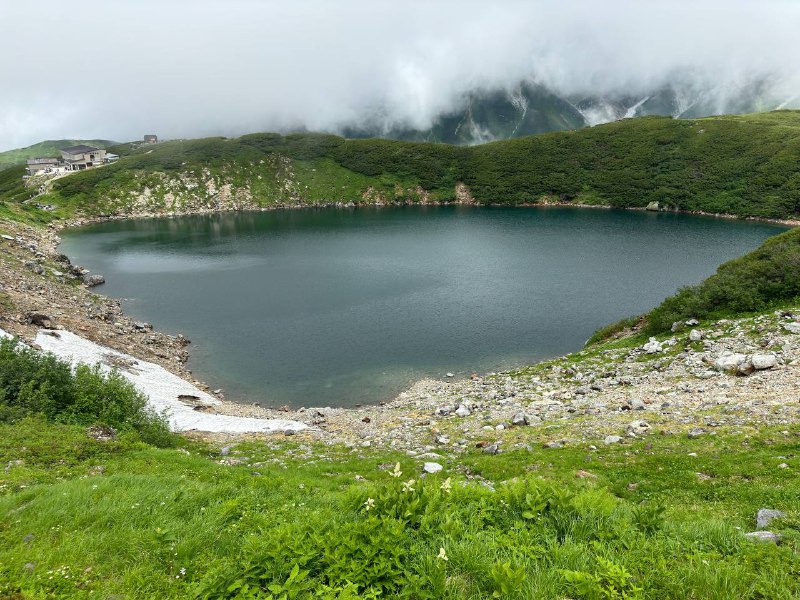 太美丽了家人们