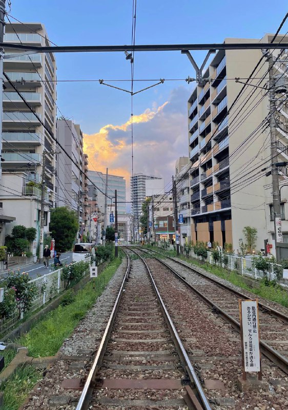 天気がいいから、散歩しましょう～
