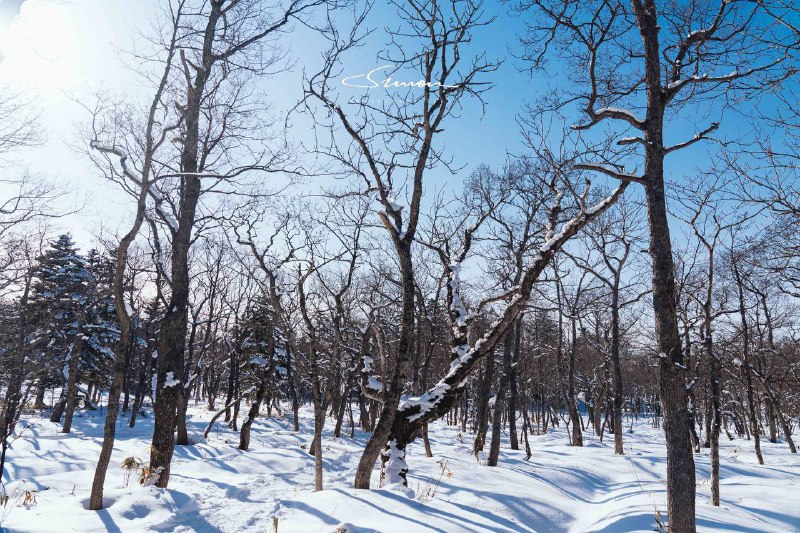 生日当天在知床五湖雪地徒步即使这是北海道六回目 我也依旧被大自然所赋予的景色所震撼我们向导外表像个ヤクザ 但是聊起知床和他热爱的职业 就总有说不完的话知床半岛  希望夏天再见🥳生日当天在知床五湖雪地徒步即使这是北海道六回目 我也依旧被大自然所赋予的景色所震撼我们向导外表像个ヤクザ 但是聊起知床和他热爱的职业 就总有说不完的话知床半岛  希望夏天再见🥳