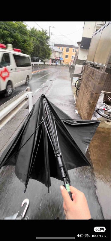 今日份网友们的伞图源小红书😆今日份网友们的伞图源小红书😆