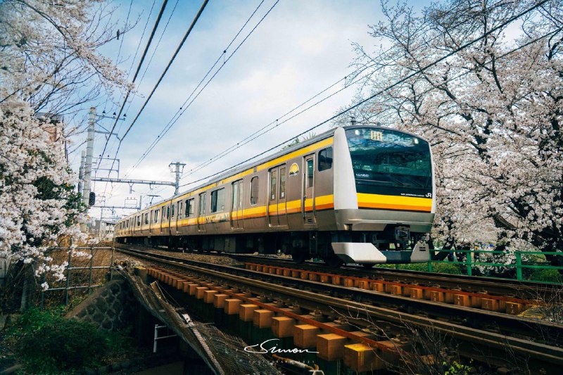 #写真📍宿河源一辆开往春天的列车