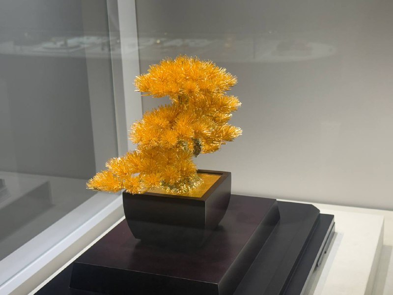 到一定岁数就喜欢买点贵金属了🤣到一定岁数就喜欢买点贵金属了🤣