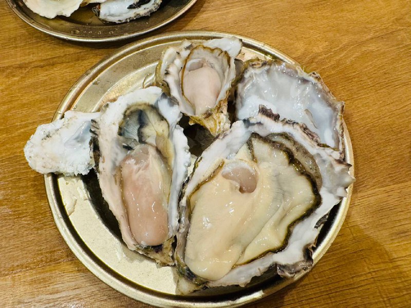 这海蛎子真好吃🥲