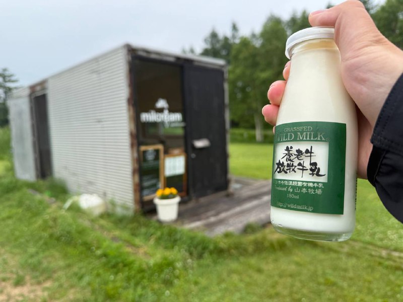 据说是日本最好喝的牛奶我直接来牧场门口买了🥹