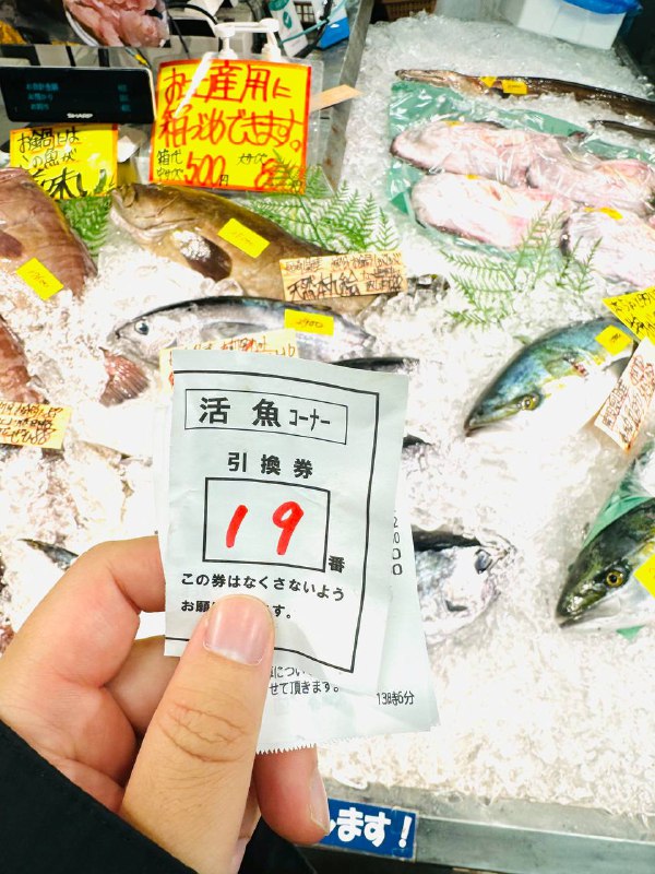 开始买鱼