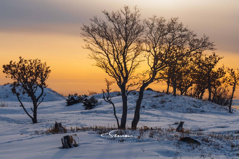 生日当天在知床五湖雪地徒步即使这是北海道六回目 我也依旧被大自然所赋予的景色所震撼我们向导外表像个ヤクザ 但是聊起知床和他热爱的职业 就总有说不完的话知床半岛  希望夏天再见🥳生日当天在知床五湖雪地徒步即使这是北海道六回目 我也依旧被大自然所赋予的景色所震撼我们向导外表像个ヤクザ 但是聊起知床和他热爱的职业 就总有说不完的话知床半岛  希望夏天再见🥳