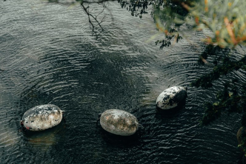 Matsushima.松島.Matsushima.松島.