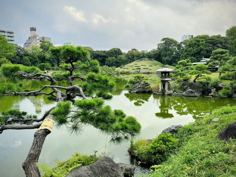 #摄影推荐大家都来清澄白河散步！比起三连休到处都是拥挤的人群来说，还是来清澄白河相对小众一点的地方比较清闲！有日式庭院，也有各种咖啡喝~天气好的情况下，iPhone也能拍出不错的效果😆#摄影推荐大家都来清澄白河散步！比起三连休到处都是拥挤的人群来说，还是来清澄白河相对小众一点的地方比较清闲！有日式庭院，也有各种咖啡喝~天气好的情况下，iPhone也能拍出不错的效果😆