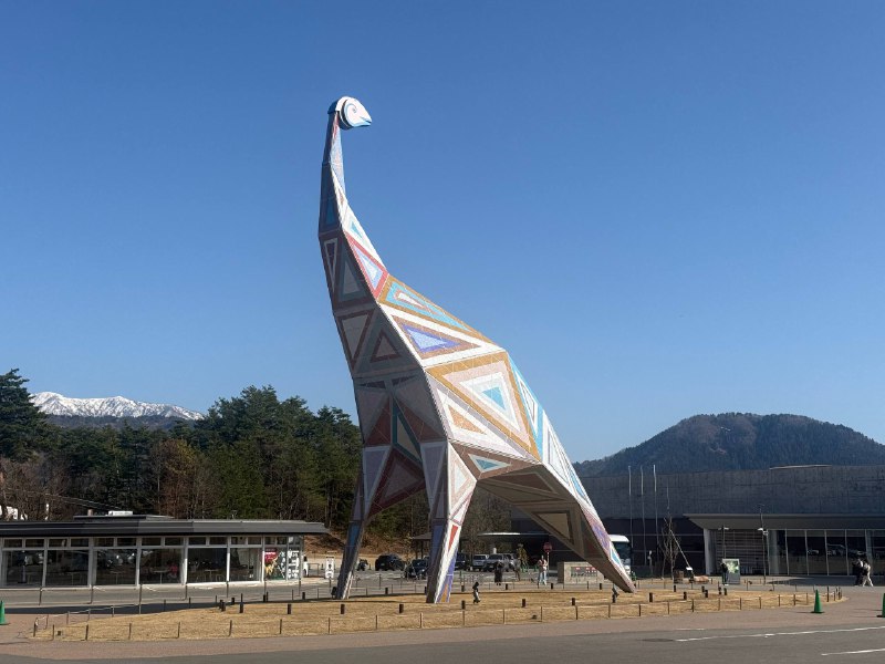 来看大恐龙了🤣