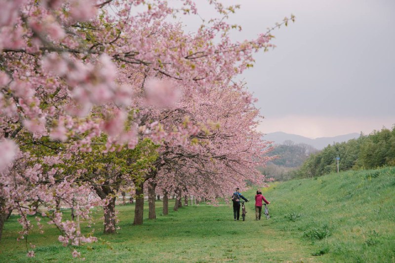 匆匆一撇匆匆一撇